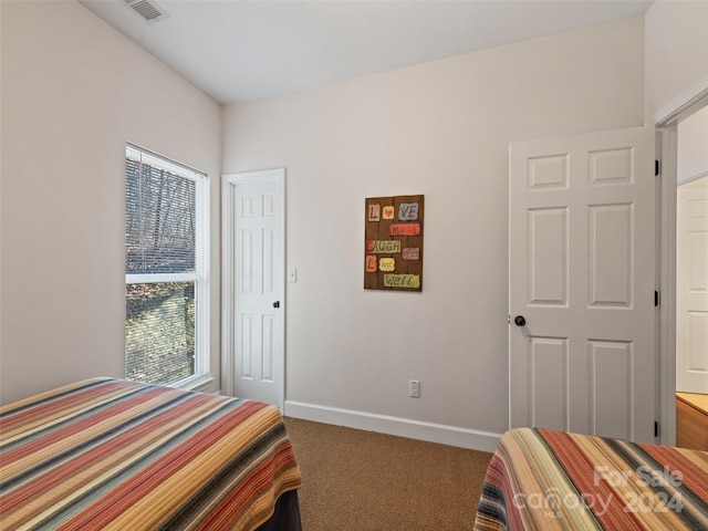 carpeted bedroom featuring a closet