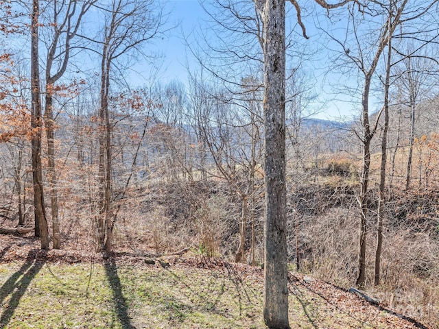 view of landscape