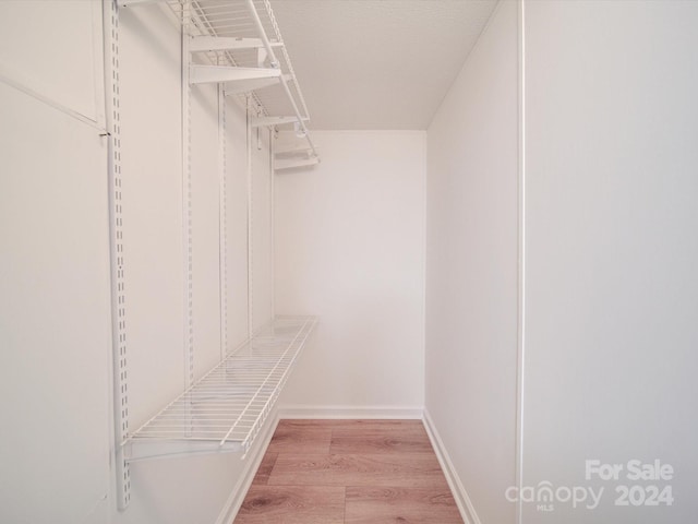 spacious closet featuring light wood-type flooring