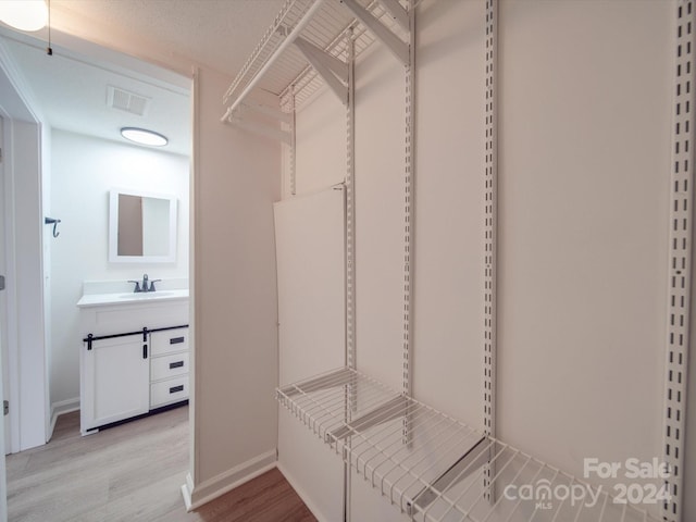 spacious closet featuring light wood-type flooring and sink