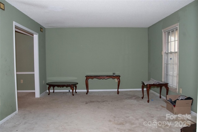 sitting room featuring light carpet