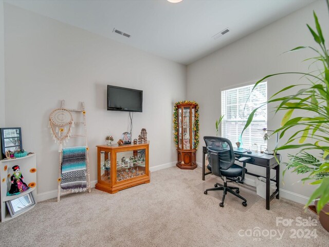 office area with light carpet