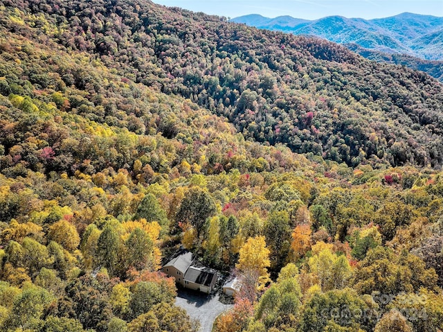 birds eye view of property with a mountain view