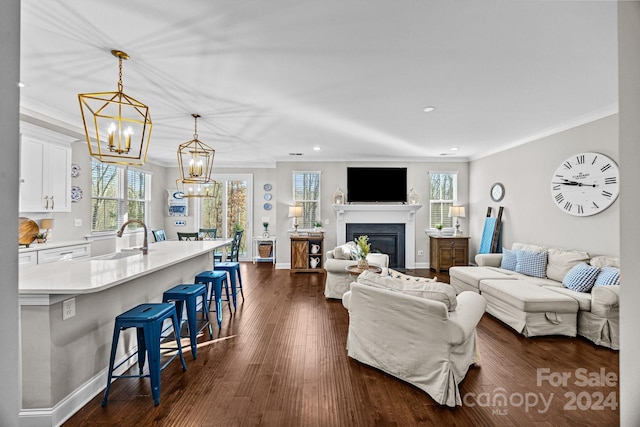 living room with dark hardwood / wood-style floors, a wealth of natural light, ornamental molding, and sink