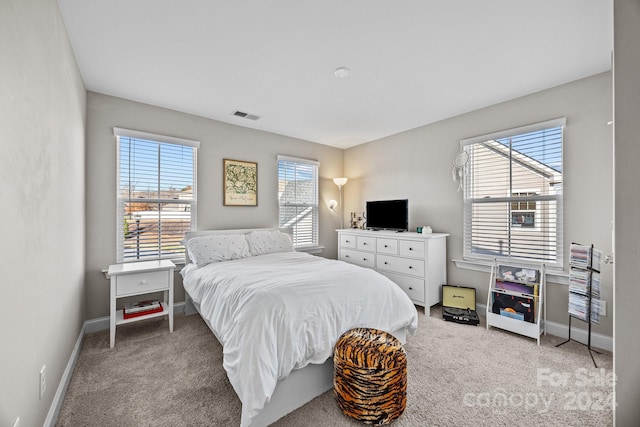 carpeted bedroom with multiple windows