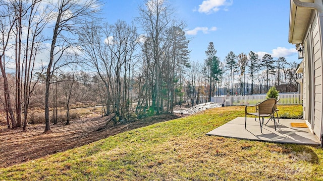 view of yard featuring a patio