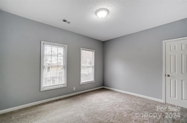 spare room with carpet and a textured ceiling