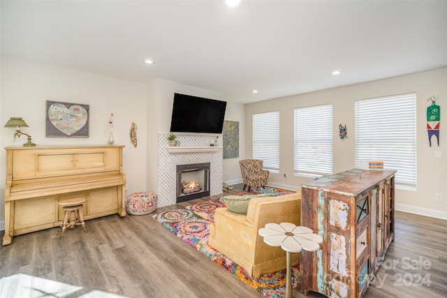 living room featuring a tile fireplace and wood-type flooring