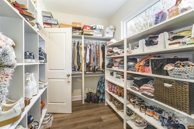 walk in closet featuring hardwood / wood-style flooring