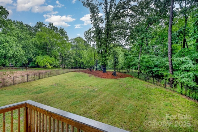 10221 Hanging Moss Trl, Mint Hill, NC 28227 - view of yard