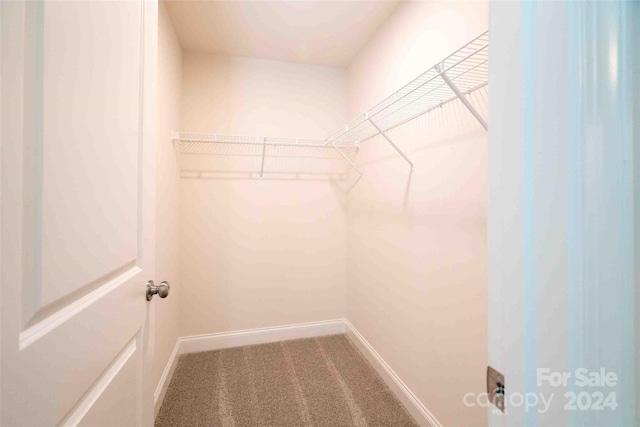 spacious closet featuring carpet flooring