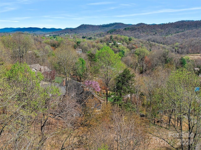 view of mountain feature