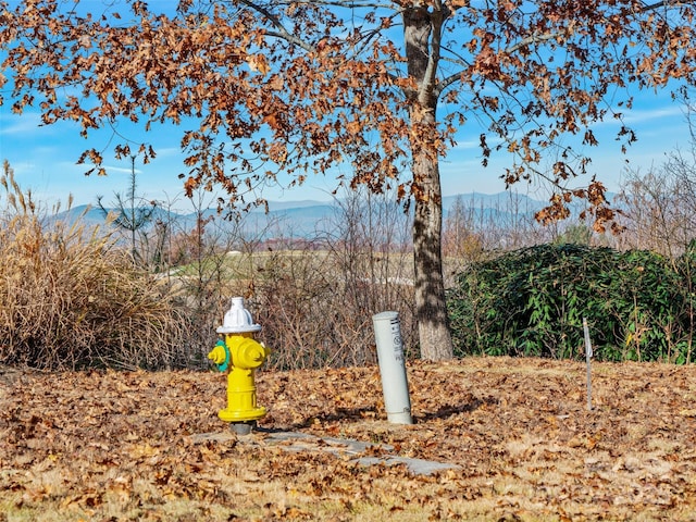 view of yard featuring a mountain view