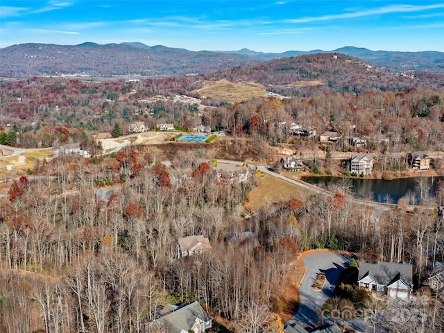 aerial view with a mountain view