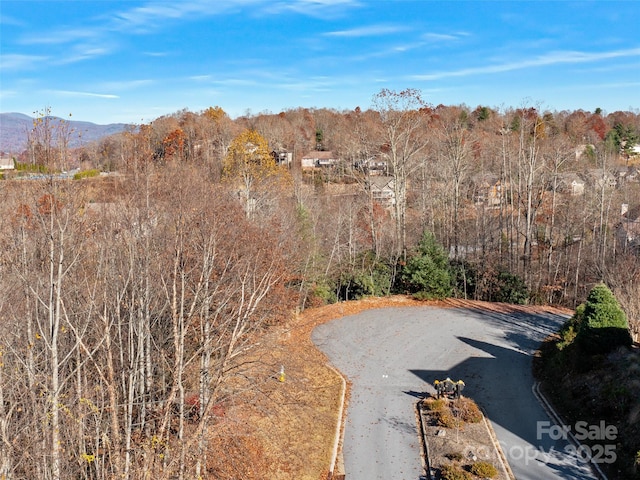 drone / aerial view with a mountain view