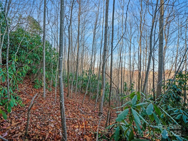 view of landscape