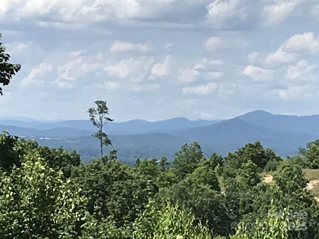 99999 Bay Laurel Ln, Hendersonville, NC 28791 - view of mountain background