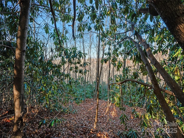 99999 Bay Laurel Ln, Hendersonville, NC 28791 - view of tree filled area