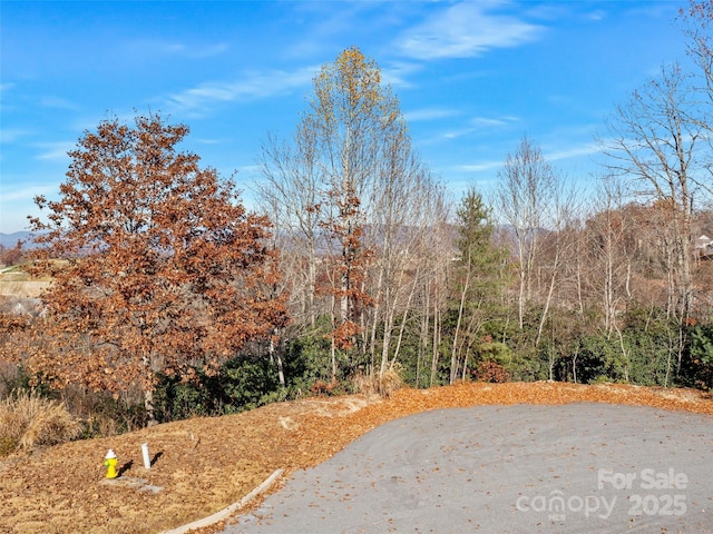 99999 Bay Laurel Ln, Hendersonville, NC 28791 - view of yard