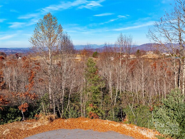 99999 Bay Laurel Ln, Hendersonville, NC 28791 - view of mountain background