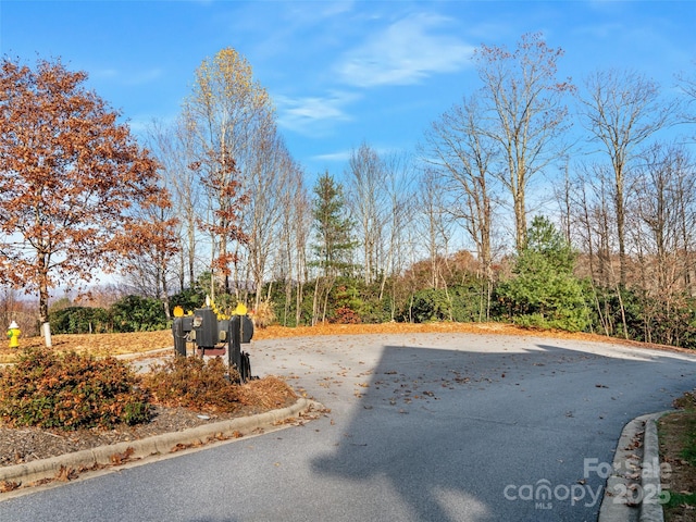 99999 Bay Laurel Ln, Hendersonville, NC 28791 - view of yard