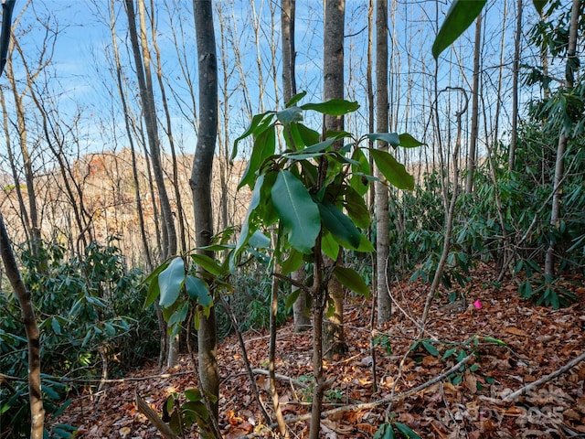 99999 Bay Laurel Ln, Hendersonville, NC 28791 - view of undeveloped land with a mountainous background