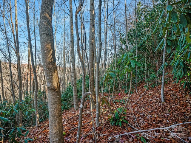 99999 Bay Laurel Ln, Hendersonville, NC 28791 - view of local wilderness
