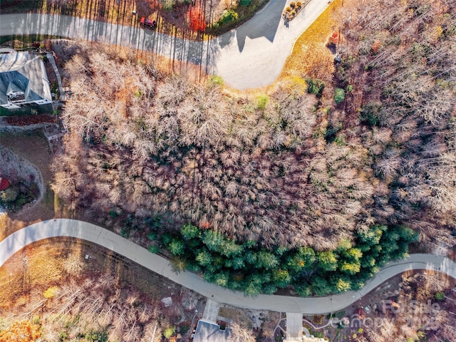 99999 Bay Laurel Ln, Hendersonville, NC 28791 - view of property location