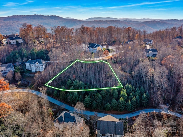 99999 Bay Laurel Ln, Hendersonville, NC 28791 - aerial view of property and surrounding area with a heavily wooded area and property boundaries highlighted