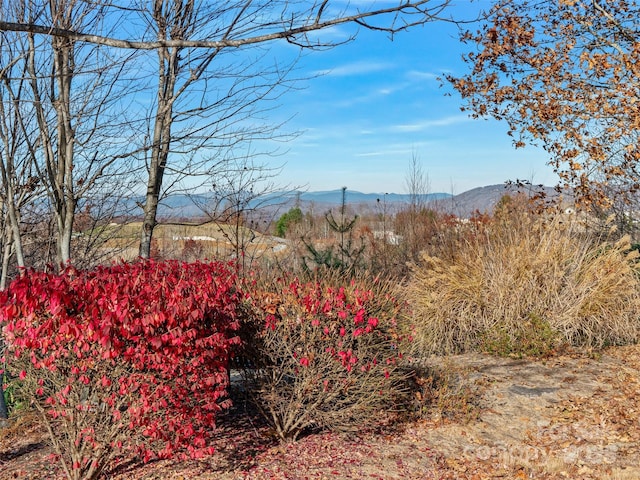 99999 Bay Laurel Ln, Hendersonville, NC 28791 - view of mountain background