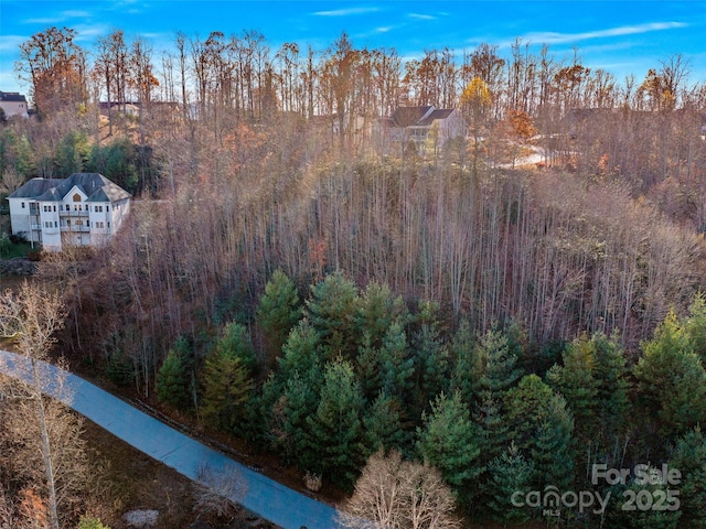 99999 Bay Laurel Ln, Hendersonville, NC 28791 - view of yard with a view of trees