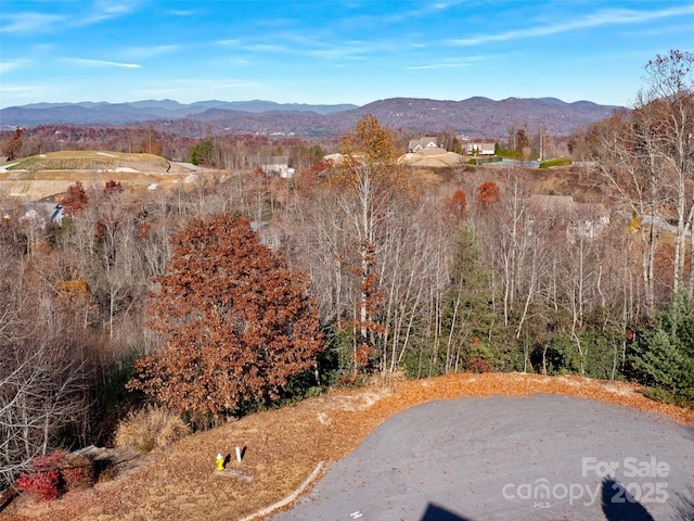 99999 Bay Laurel Ln, Hendersonville, NC 28791 - view of mountain backdrop