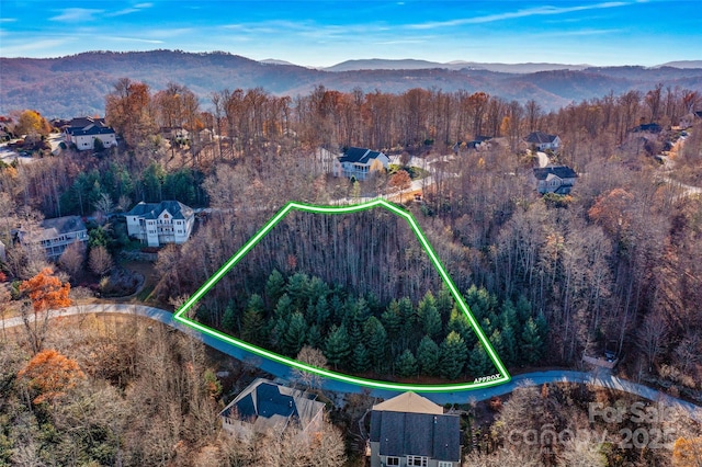 99999 Bay Laurel Ln, Hendersonville, NC 28791 - aerial view of property and surrounding area with property boundaries highlighted