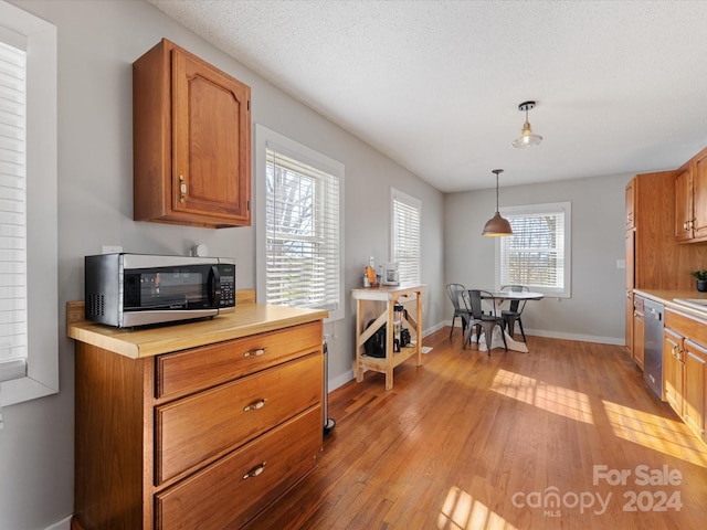 kitchen with pendant lighting, light hardwood / wood-style floors, appliances with stainless steel finishes, and a healthy amount of sunlight