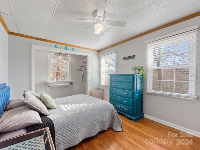 bedroom with ceiling fan, light hardwood / wood-style floors, and multiple windows