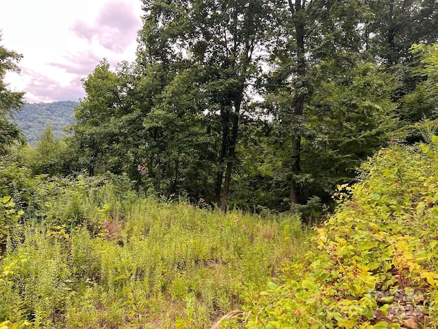 000 Shadyside Dr, Waynesville NC, 28785 land for sale