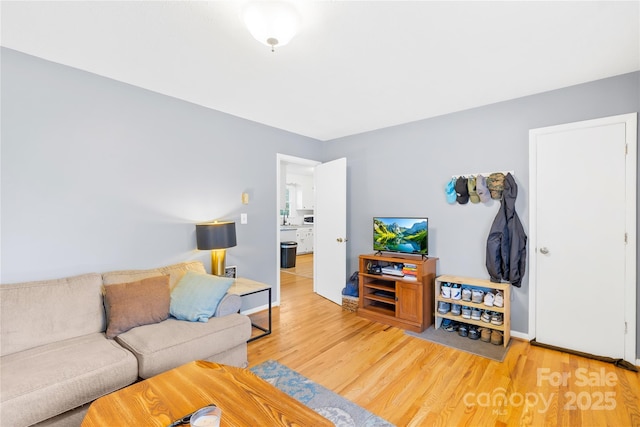 living room with hardwood / wood-style flooring