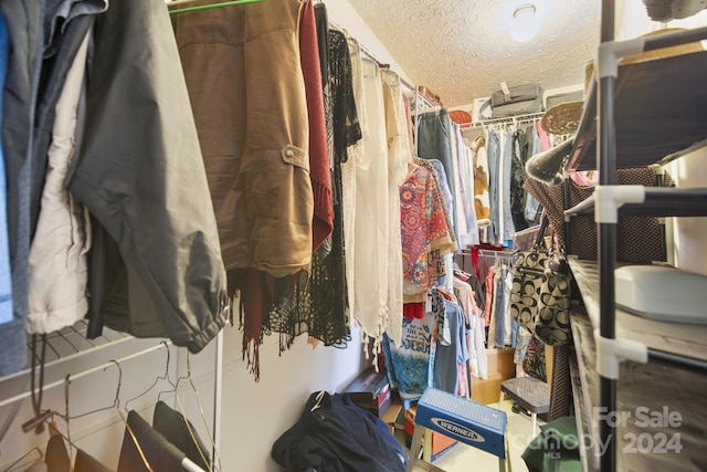 view of walk in closet