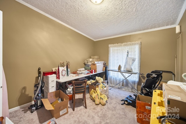 carpeted office space with crown molding and a textured ceiling