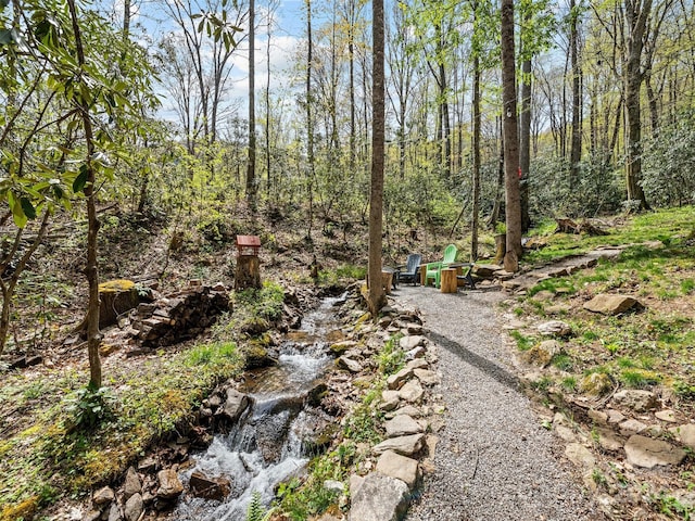 view of local wilderness