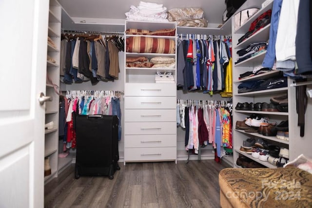 spacious closet featuring dark wood-type flooring