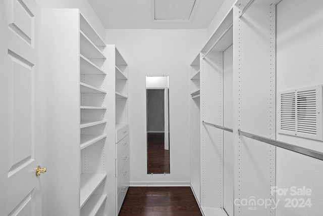 walk in closet featuring dark wood-type flooring