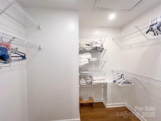 spacious closet featuring attic access and wood finished floors