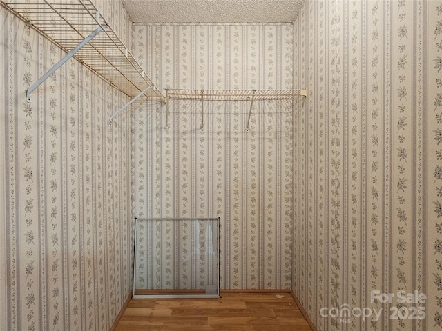 spacious closet featuring hardwood / wood-style flooring