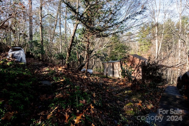 view of yard with a storage unit