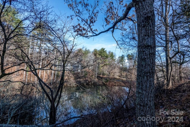 view of nature