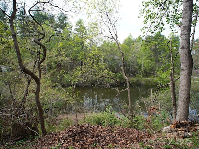 property view of water featuring a forest view