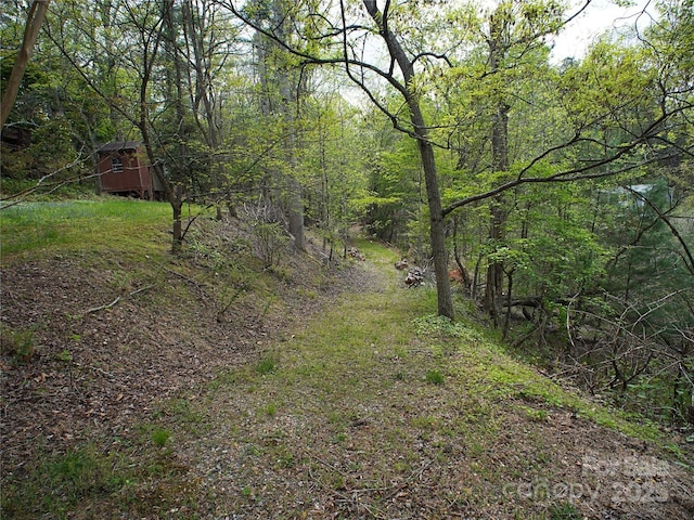 view of local wilderness featuring a wooded view