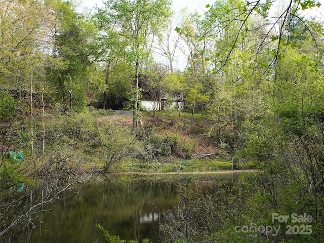 view of local wilderness featuring a view of trees and a water view