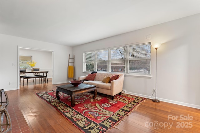 living room with wood-type flooring